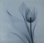 čiernobiela, tulipán, kvetinový motív, obraz do bytu,