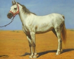 zákazková maľba, kôň,  obrazy na zákazku, olejomaľba